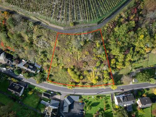 Foto - Grundstück zu verkaufen in Sankt Goar 85.000,00 € 3197 m²