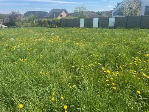 Foto - Grundstück zu verkaufen in Rheinbach-Merzbach 240.000,00 € 700 m²