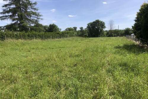 Foto - Grundstück zu verkaufen in Trebbichau an der Fuhne-Hohnsdorf 29.500,00 € 1660 m²