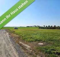 Haus zum Kaufen in Schweringen 293.750,00 € 142 m²