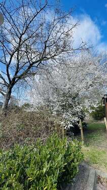 Foto - Grundstück zu verkaufen in Kellinghusen 140.000,00 € 600 m²