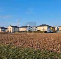 Grundstück zu verkaufen in Ötigheim 349.000,00 € 1633 m²