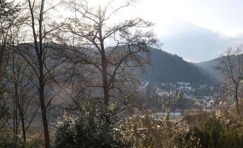 Foto - Haus zum Kaufen in Bad Liebenzell 1.019.000,00 € 653 m²