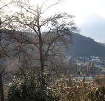 Haus zum Kaufen in Bad Liebenzell 1.019.000,00 € 653 m²