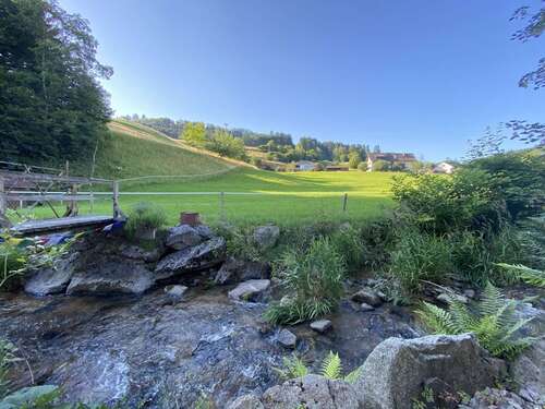 Foto - Haus zum Kaufen in Malsburg 499.000,00 € 180 m²