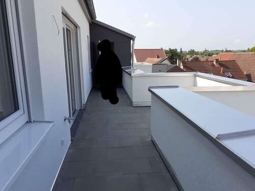 Foto - Wohnung zum Mieten in Worms- Leiselheim 780,00 € 70.66 m²