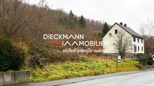 Foto - Grundstück zu verkaufen in Niederdreisbach 38.500,00 € 745 m²