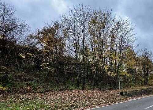 Foto - Grundstück zu verkaufen in Bullay 49.500,00 € 531 m²