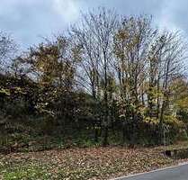 Grundstück zu verkaufen in Bullay 49.500,00 € 531 m²