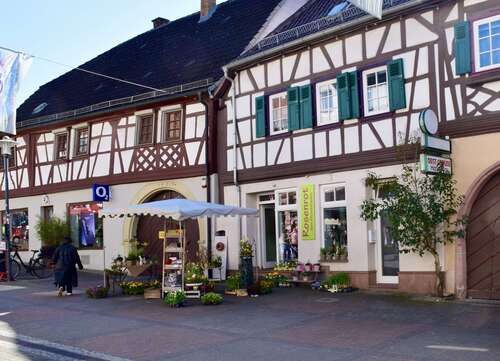 Foto - Einzelhandel in Heppenheim 700,00 € 36.6 m²