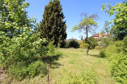Foto - Grundstück zu verkaufen in Mühlenbecker Land 249.000,00 € 1183 m²