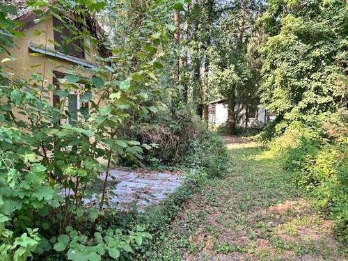 Foto - Grundstück zu verkaufen in Zeuthen 429.000,00 € 1334 m²