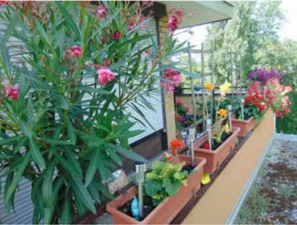 Foto - Wohnung zum Mieten in München 815,00 € 30 m²