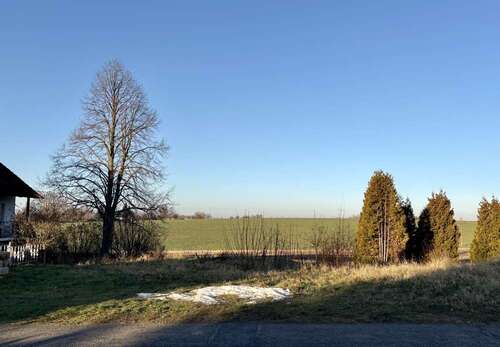 Foto - Grundstück zu verkaufen in Grimma Wetteritz 60.000,00 € 620 m²