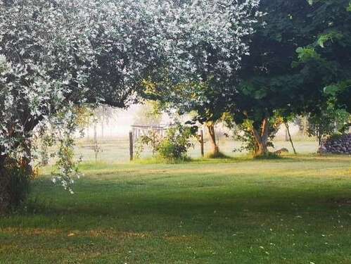 Foto - Grundstück zu verkaufen in Treuenbrietzen 170.000,00 € 6164 m²