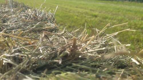 Foto - Grundstück in Erdweg 75.700,00 € 12616 m²