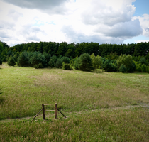 Haus zum Kaufen in Königs Wusterhausen 799.000,00 € 148 m²