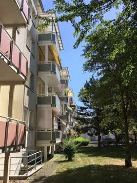 Foto - Wohnung zum Mieten in Forst (Lausitz) 321,23 € 49.42 m²