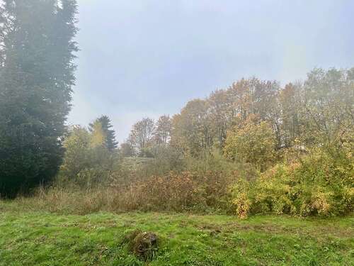 Foto - Grundstück zu verkaufen in Steinbach-Hallenberg 22.000,00 € 498 m²