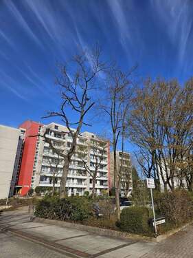 Foto - Wohnung zum Mieten in Celle 480,00 € 58 m²