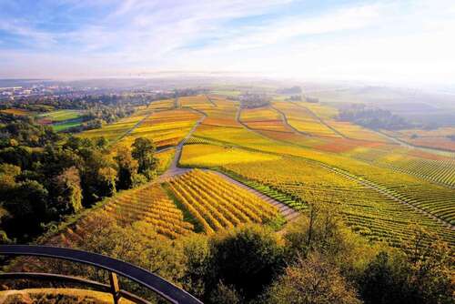 Foto - Haus zum Kaufen in Leingarten 694.500,00 € 190.52 m²