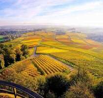 Haus zum Kaufen in Leingarten 694.500,00 € 190.52 m²