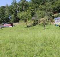 Grundstück zu verkaufen in Chemnitz 49.950,00 € 990 m²