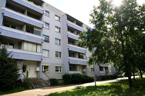 Foto - Wohnung zum Mieten in Dessau-Roßlau 308,00 € 49.6 m²