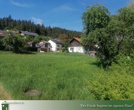 Foto - Grundstück zu verkaufen in Dietingen-Rotenzimmer 83.895,00 € 987 m²