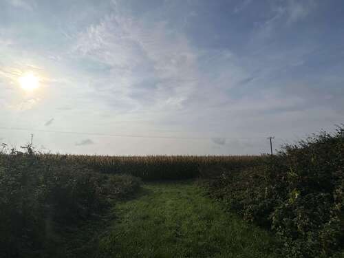 Foto - Grundstück in Karlshuld 324.000,00 € 42000 m²