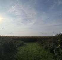 Grundstück in Karlshuld 324.000,00 € 42000 m²