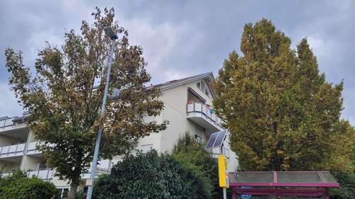 Foto - Wohnung zum Kaufen in Marbach 364.000,00 € 79 m²