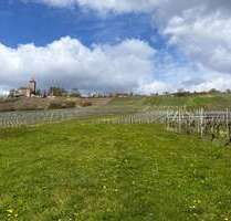 Grundstück zu verkaufen in Großbottwar 599.000,00 € 1985 m²