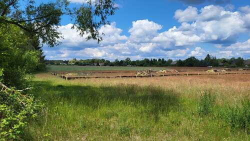 Foto - Grundstück zu verkaufen in Schönwald 99.900,00 € 1187 m²