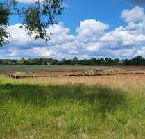 Grundstück zu verkaufen in Schönwald 99.900,00 € 1187 m²