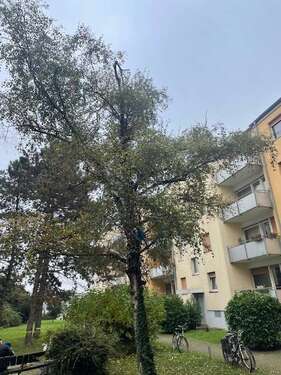 Foto - Wohnung zum Mieten in Ludwigshafen am Rhein 920,00 € 83 m²