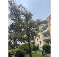 Wohnung zum Mieten in Ludwigshafen am Rhein 920,00 € 83 m²