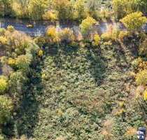 Grundstück in Miehlen 105.000,00 € 4184 m²