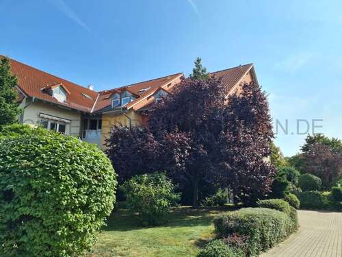 Foto - Wohnung zum Mieten in Leipzig 335,00 € 35 m²