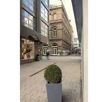 Büro in Wuppertal 2.150,00 € 178 m²