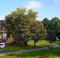 Wohnung zum Mieten in Chemnitz 300,00 € 50 m²