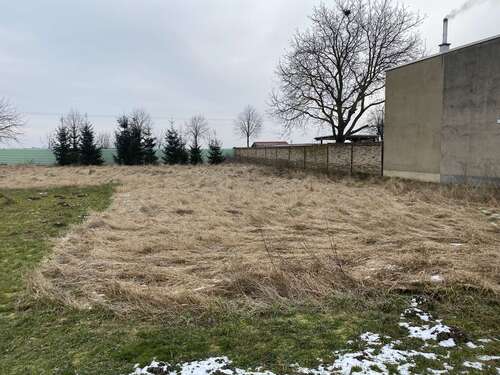 Foto - Grundstück zu verkaufen in Sandersdorf-Brehna 99.000,00 € 1000 m²