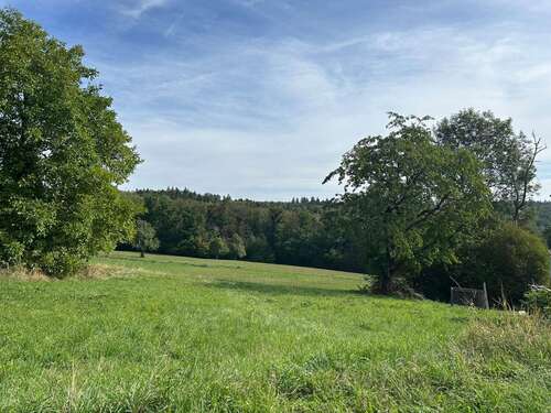 Foto - Grundstück zu verkaufen in Lichtenwald Thomashardt 380.000,00 € 711 m²
