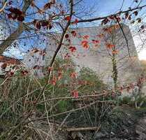 Grundstück zum Mieten in Halle (Saale)-Giebichenstein 150,00 € 244 m²