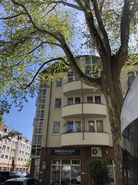 Foto - Wohnung zum Mieten in Dresden 605,00 € 54.4 m²