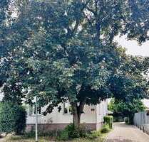 Wohnung zum Mieten in Magdeburg 584,00 € 77.7 m²