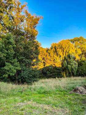 Foto - Grundstück zu verkaufen in Arnsdorf 180.000,00 € 1852 m²