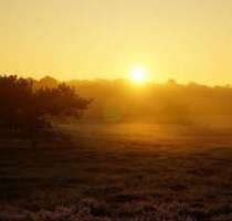 Haus zum Kaufen in Radeberg Ullersdorf bei Radeberg 710.500,00 € 203 m² - Radeberg / Ullersdorf bei Radeberg