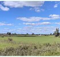 Grundstück in Witzwort 35.000,00 € 22502 m²