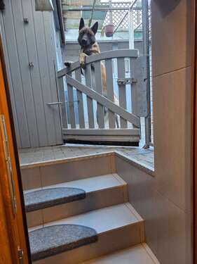 Foto - Haus zum Kaufen in Ebersbach 399.000,00 € 140 m²